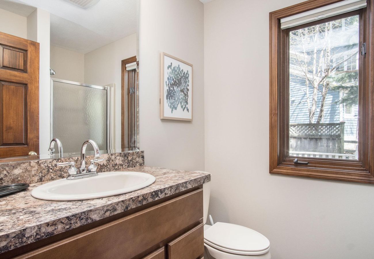 Lower level bathroom with shower